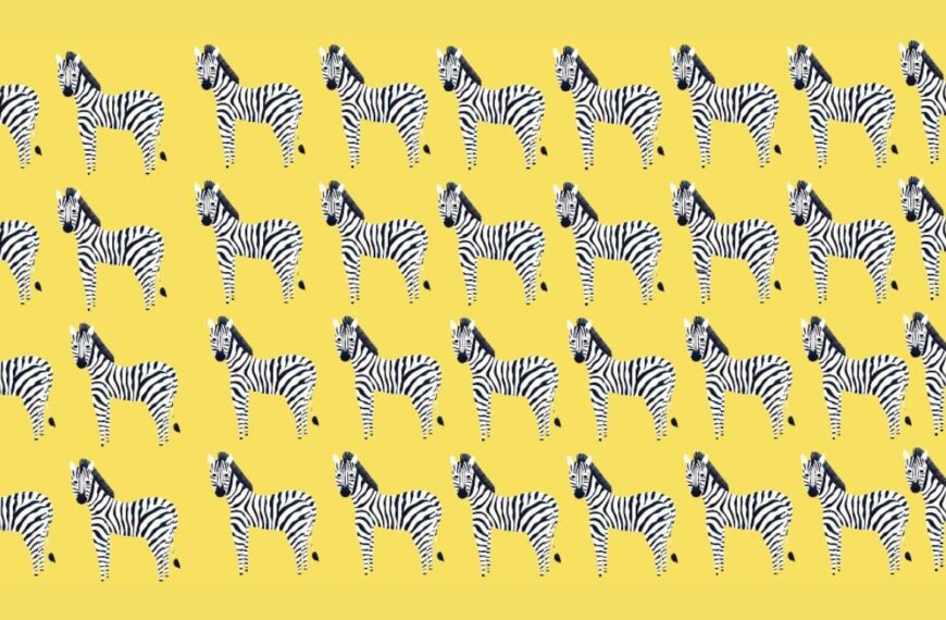 Find the intruder among the zebras in less than 25 seconds: are you up to the challenge?