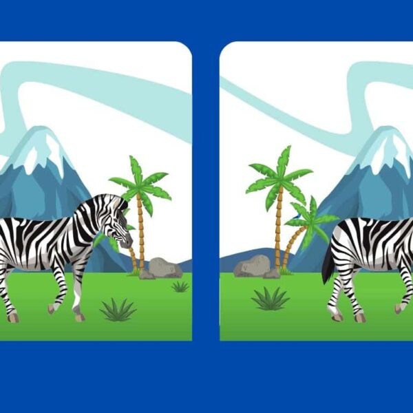 Can you find the 5 differences in this zebra photo in just 12 seconds? Test your vision!