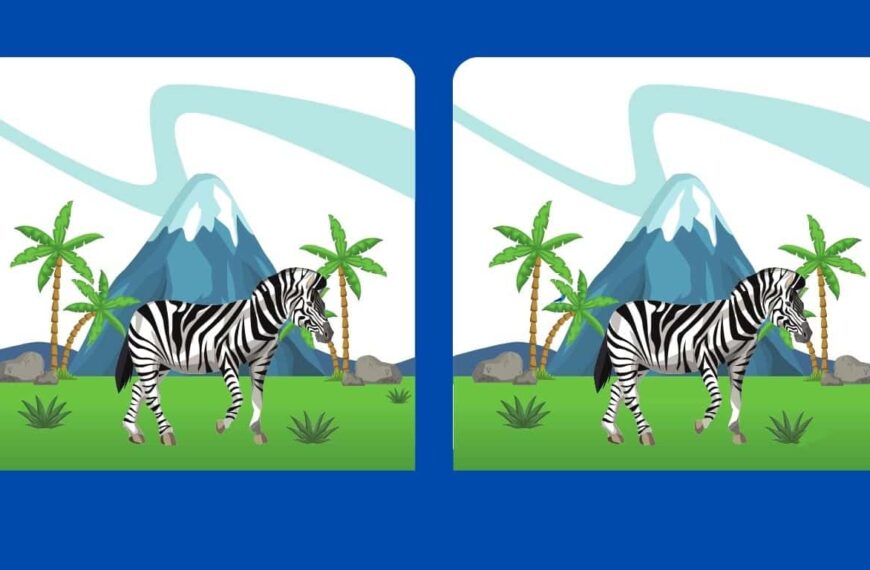 Can you find the 5 differences in this zebra photo in just 12 seconds? Test your vision!