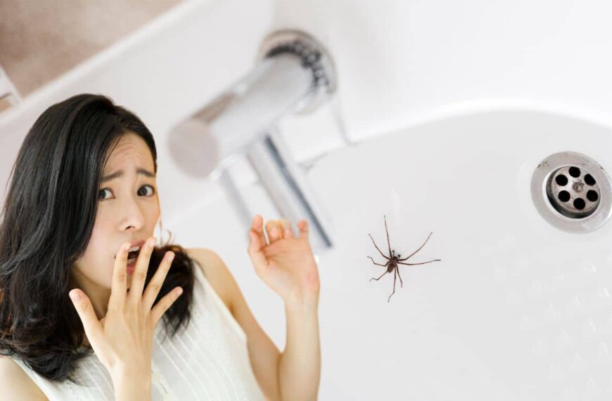 Defend your home from spiders with a very simple trick of just two ingredients!