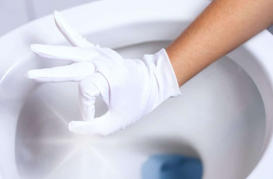 Do you dream of an always clean toilet? Here’s how to achieve it with a few simple daily gestures!