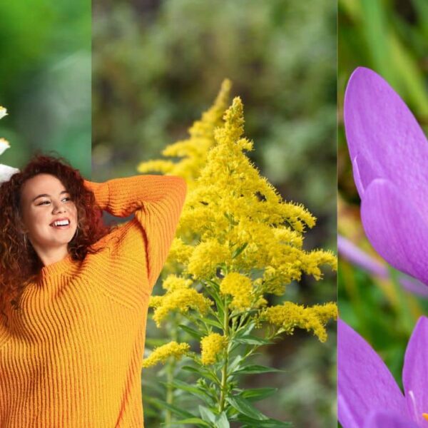 Let yourself be surprised by 10 autumn flowers that will revolutionize the color of your garden!