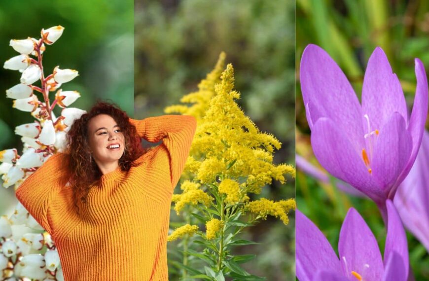 Let yourself be surprised by 10 autumn flowers that will revolutionize the color of your garden!