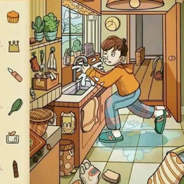 Do you accept the challenge? Find the 6 hidden objects in this picture in less than 20 seconds!