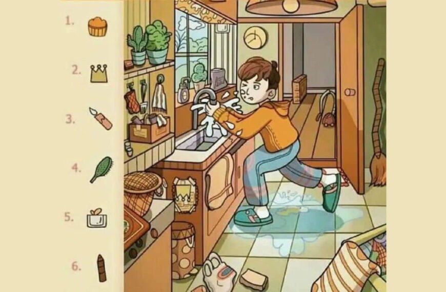 Do you accept the challenge? Find the 6 hidden objects in this picture in less than 20 seconds!