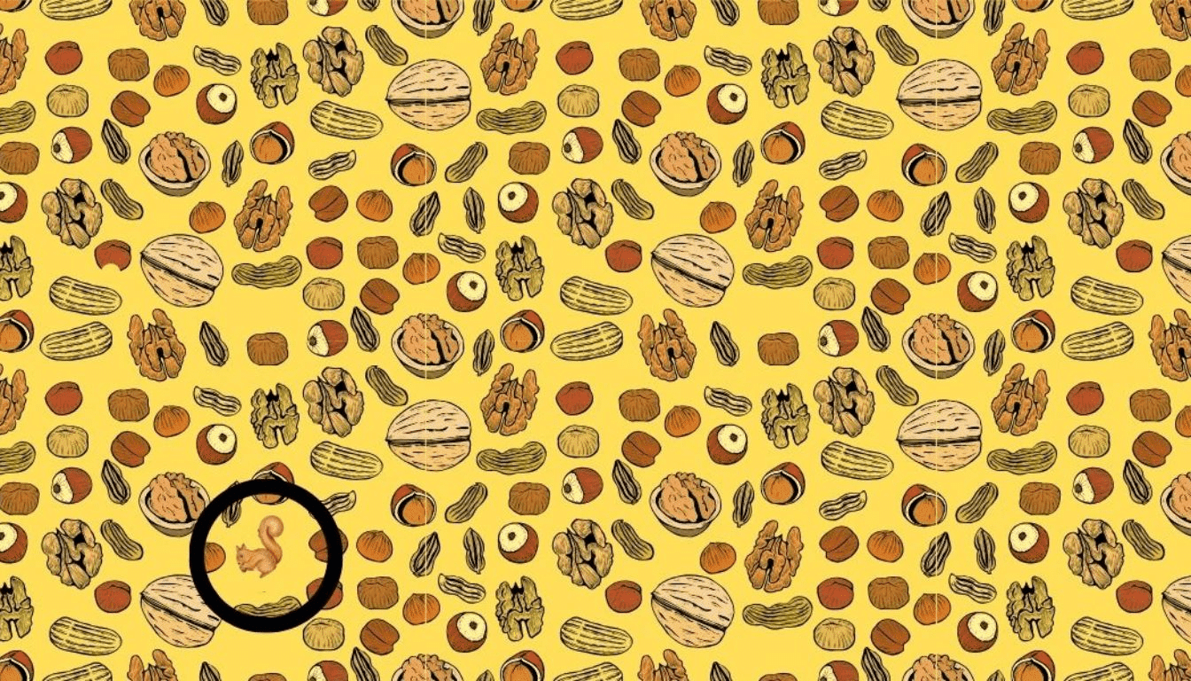 Can you find the squirrel hidden among the nuts in 10 seconds? Try it now!