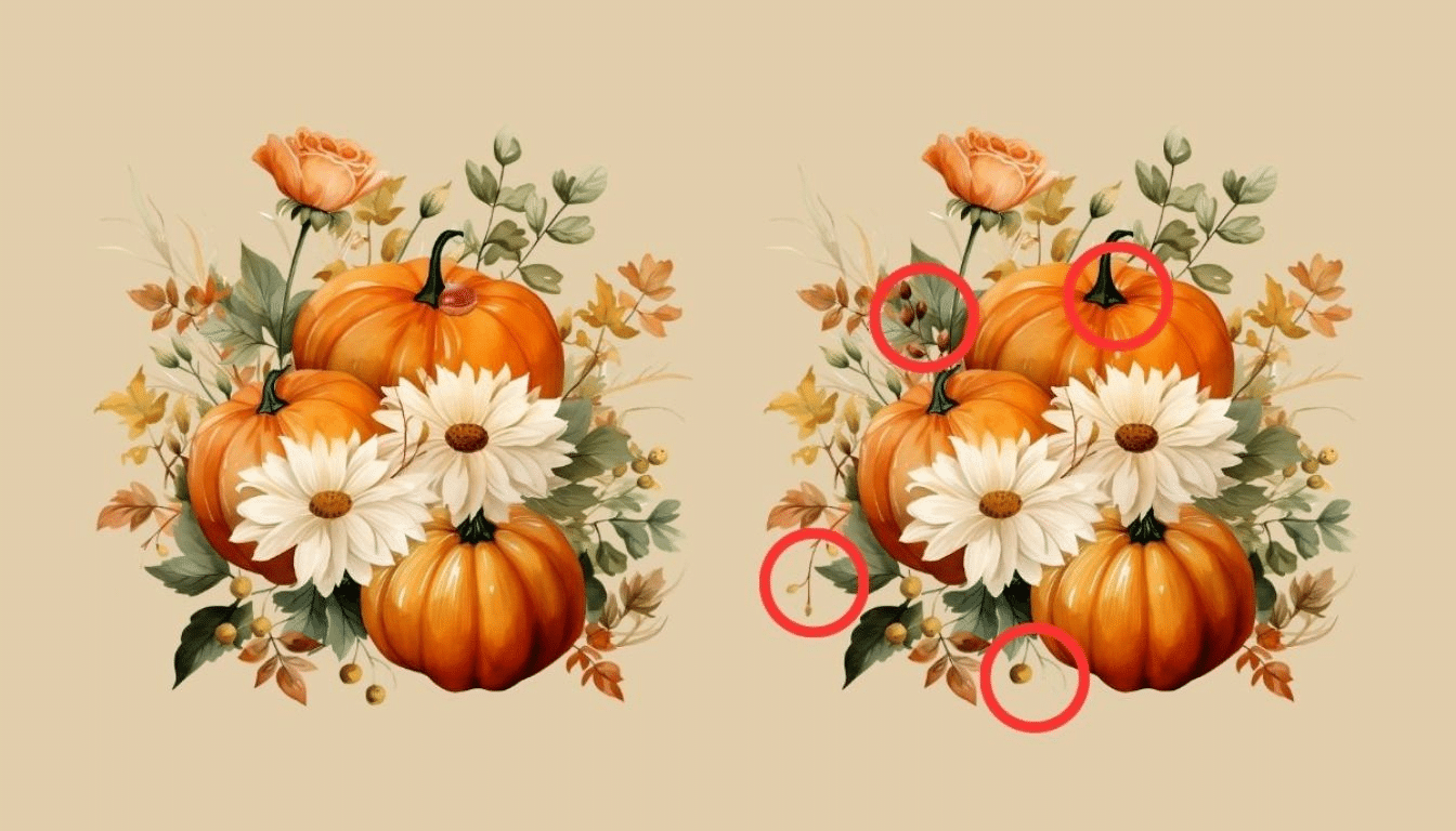 Do you accept the challenge? Find the 4 differences in this autumn scene in 15 seconds and prove your genius!