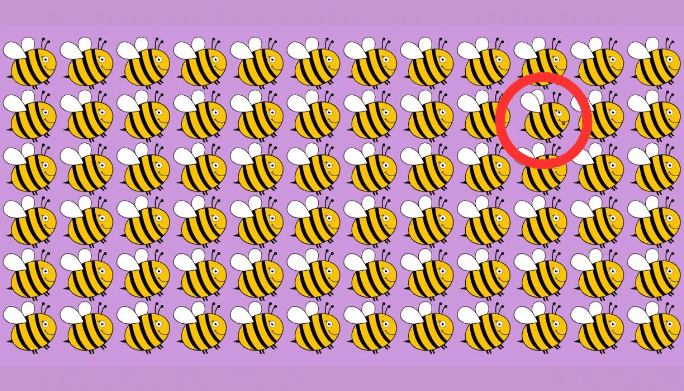 Test your vision: can you spot the different bee in 15 seconds?