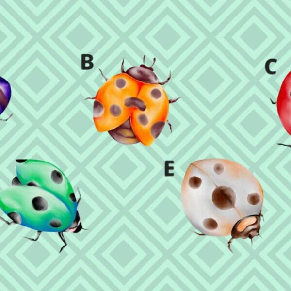 Are you really a born leader? Choose a ladybug and find out now!