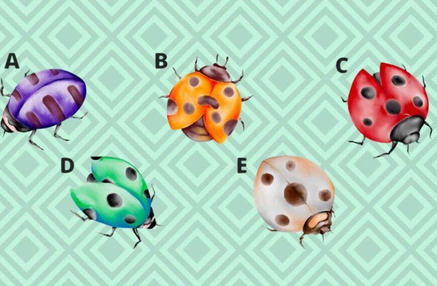 Are you really a born leader? Choose a ladybug and find out now!