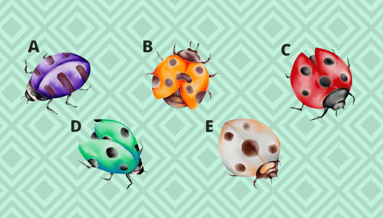 Are you really a born leader? Choose a ladybug and find out now!