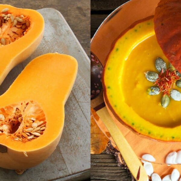 Butternut or Hokkaido pumpkin: the secret to iron health revealed!