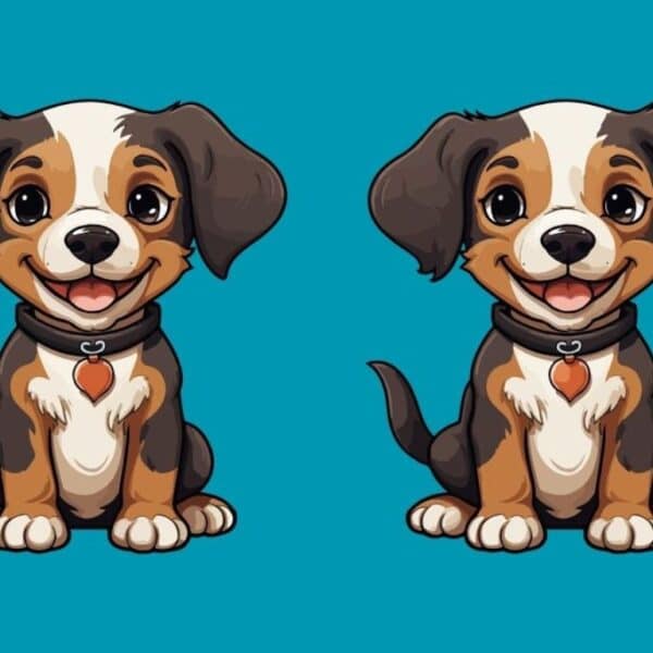 Can you find 3 differences in these drawings of chiots within 15 seconds? Take up the challenge!