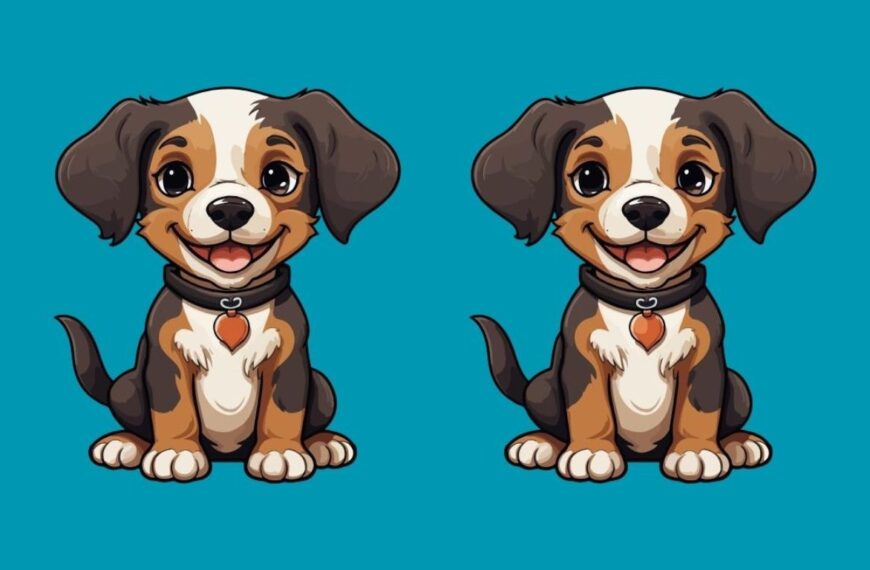 Can you find 3 differences in these drawings of chiots within 15 seconds? Take up the challenge!