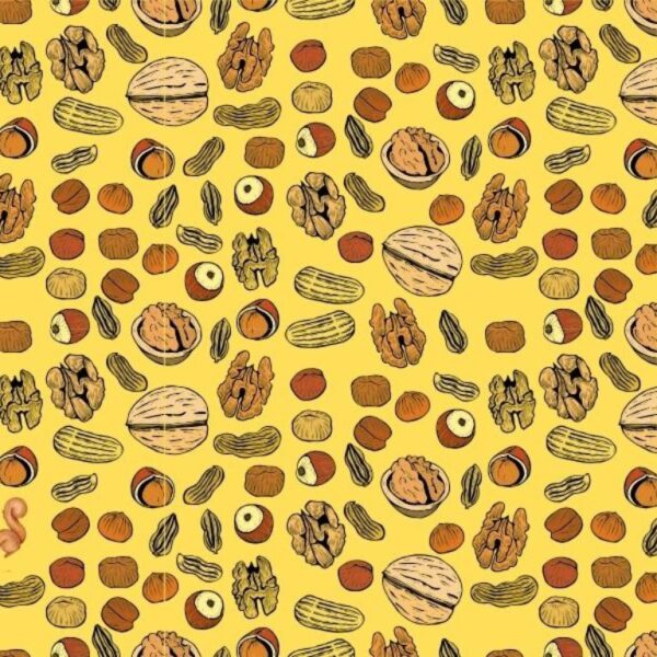 Can you find the squirrel hidden among the nuts in 10 seconds? Try it now!