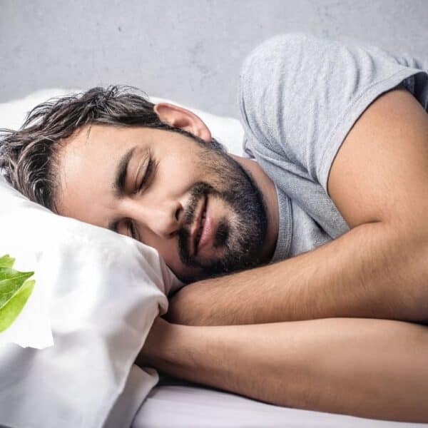 Do you sleep poorly? Place a bay leaf under your pillow and discover the surprising health benefits!