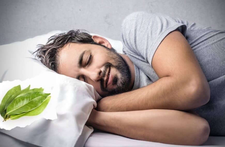 Do you sleep poorly? Place a bay leaf under your pillow and discover the surprising health benefits!