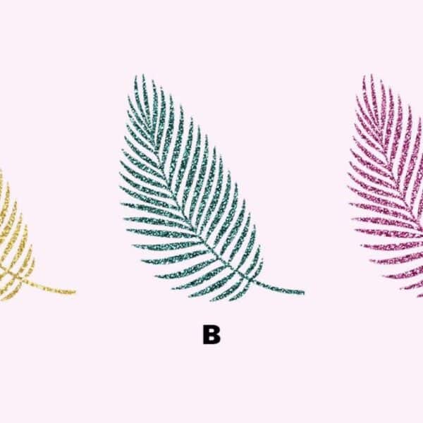 Find out now if you are the king of the party or the lonely soul: choose a feather and let’s reveal your mystery!