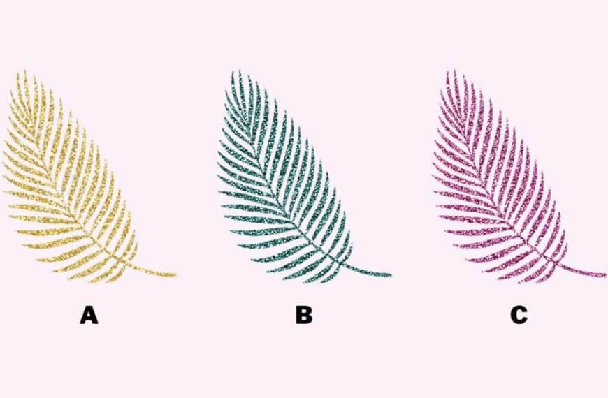 Find out now if you are the king of the party or the lonely soul: choose a feather and let’s reveal your mystery!