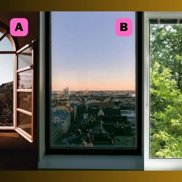 Personality test: Are you more introverted or extroverted? The window you choose to open will reveal this to us