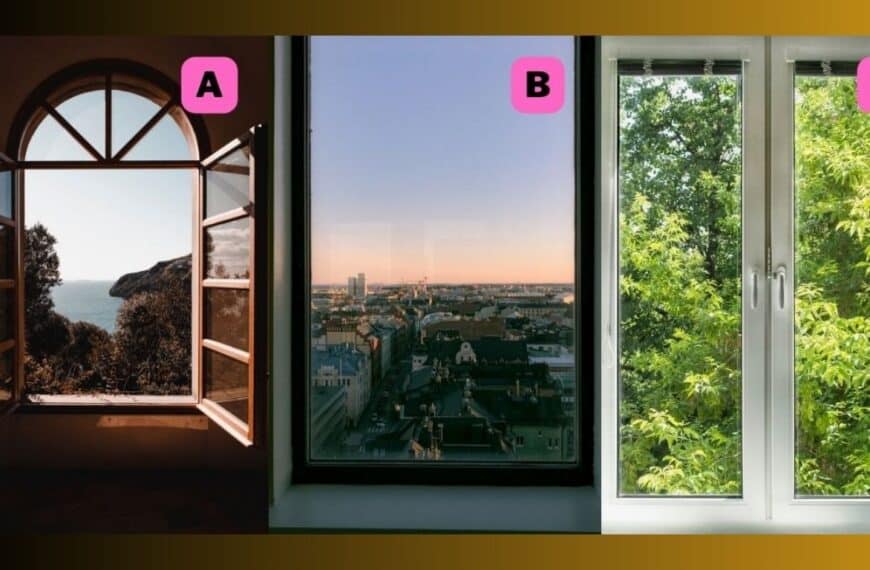 Personality test: Are you more introverted or extroverted? The window you choose to open will reveal this to us