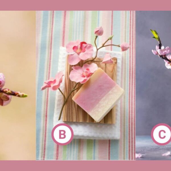 Personality test: Choose a pink flower and reveal your hidden side: are you a creative genius or a master of logic?