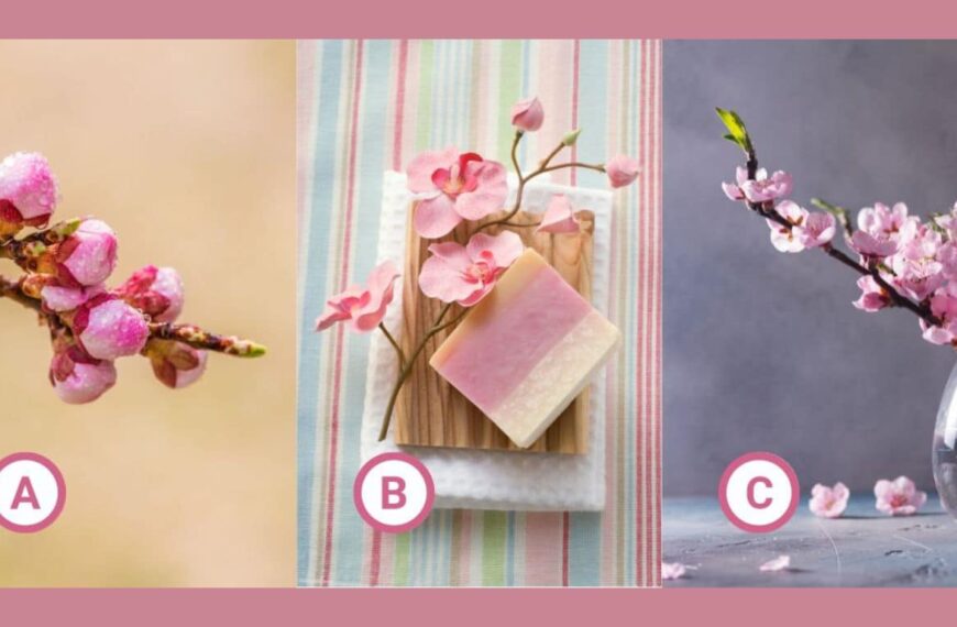 Personality test: Choose a pink flower and reveal your hidden side: are you a creative genius or a master of logic?