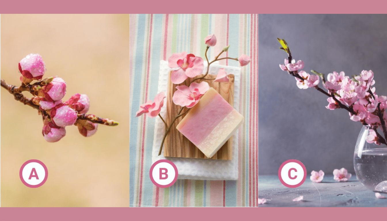 Personality test: Choose a pink flower and reveal your hidden side: are you a creative genius or a master of logic?