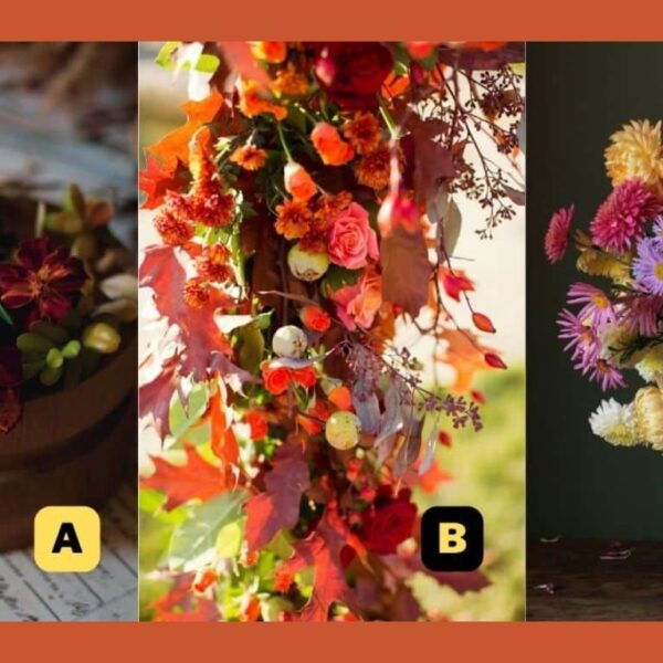 Personality test: Choose an autumn flower and find out if your soul is short-tempered or gentle!