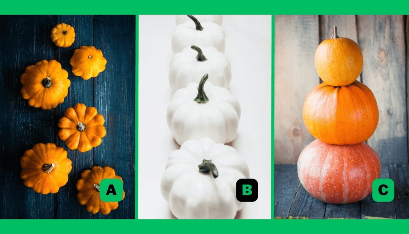 Personality test: choose a pumpkin and find out if you are more disciplined or carefree!