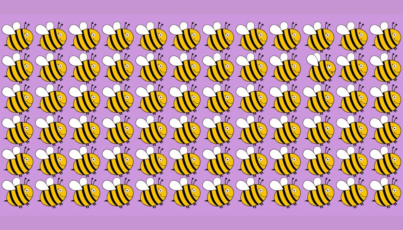 Test your vision: can you spot the different bee in 15 seconds?