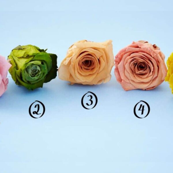 Personality test: choose a rose and reveal your true approach in times of stress!