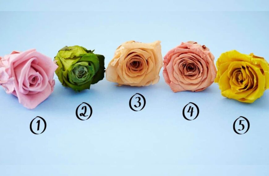 Personality test: choose a rose and reveal your true approach in times of stress!