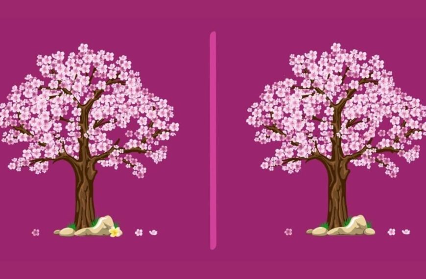 Can you find the 3 differences in a Japanese cherry tree in just 15 seconds? Only the sharpest eyes can do this