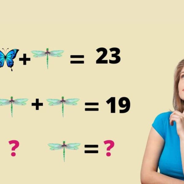 Can you discover the mysterious value of a butterfly and a dragonfly in less than 20 seconds?