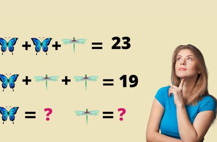 Can you discover the mysterious value of a butterfly and a dragonfly in less than 20 seconds?