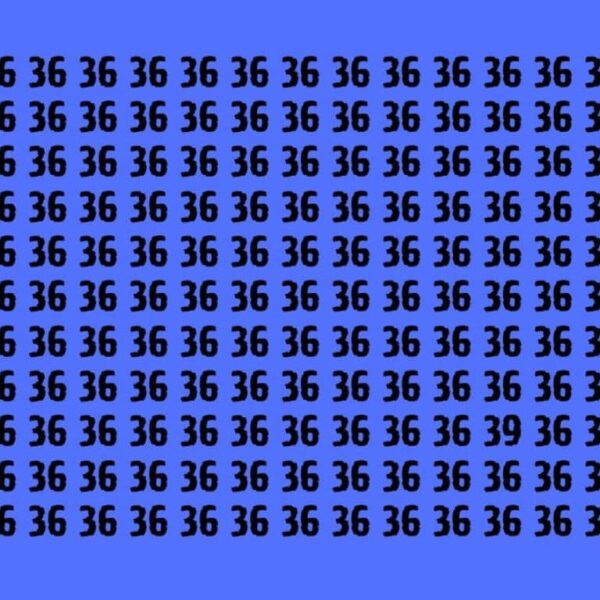 Accept the challenge: can you find the 39 hidden among the 36 in 10 seconds?