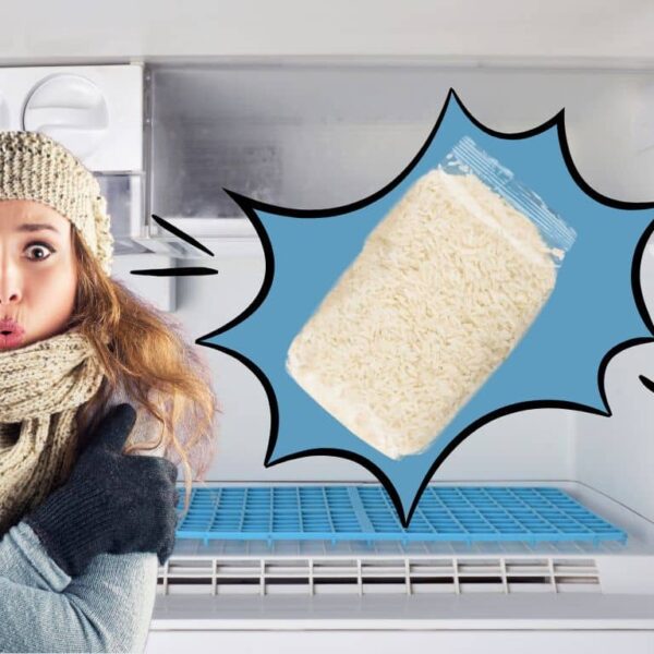 Can the freezer be your ally for storing rice and quinoa? Here’s what to know!