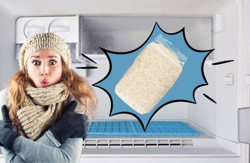 Can the freezer be your ally for storing rice and quinoa? Here’s what to know!