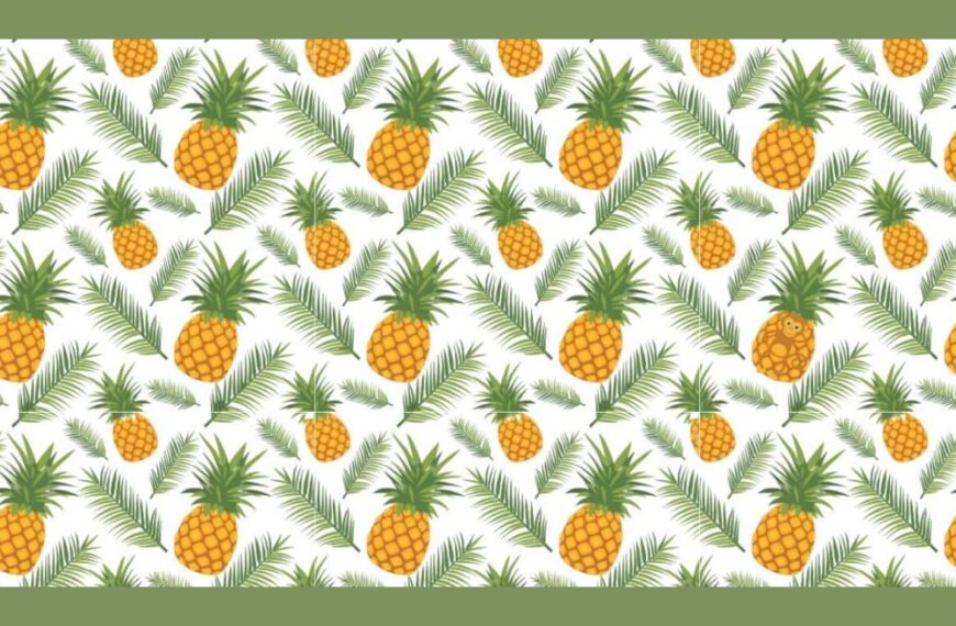 Can you beat the record? Find the monkey among the pineapples in just 15 seconds!