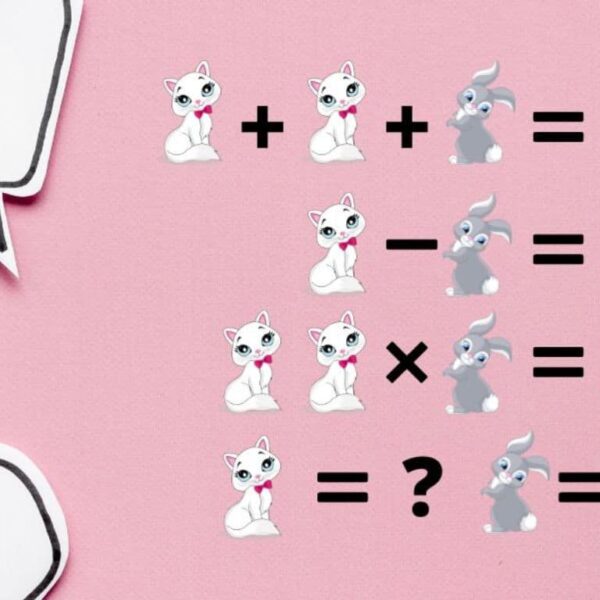 Can you solve the riddle: how much is the cat and the rabbit worth in 40 seconds?