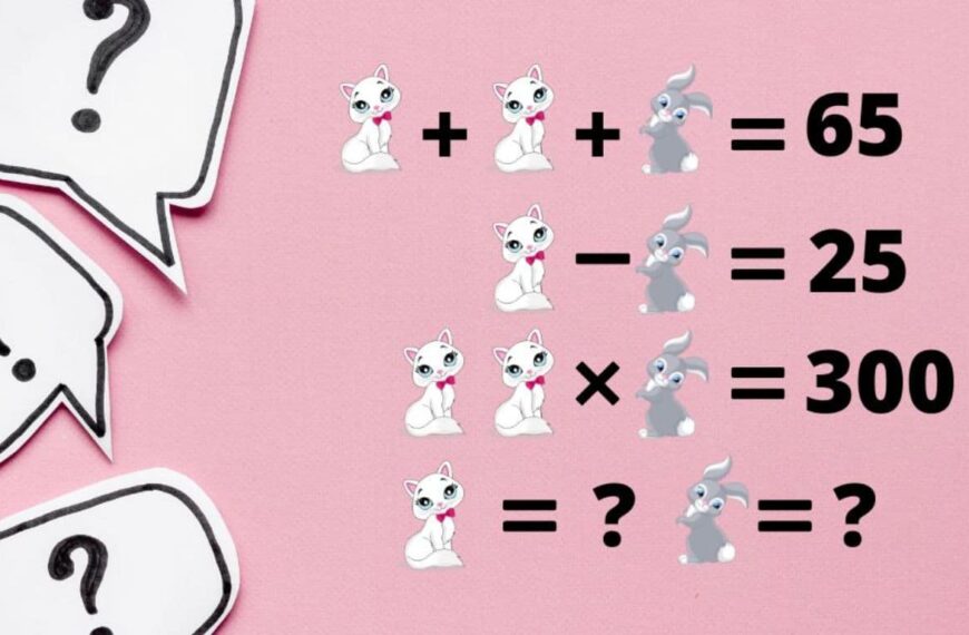 Can you solve the riddle: how much is the cat and the rabbit worth in 40 seconds?