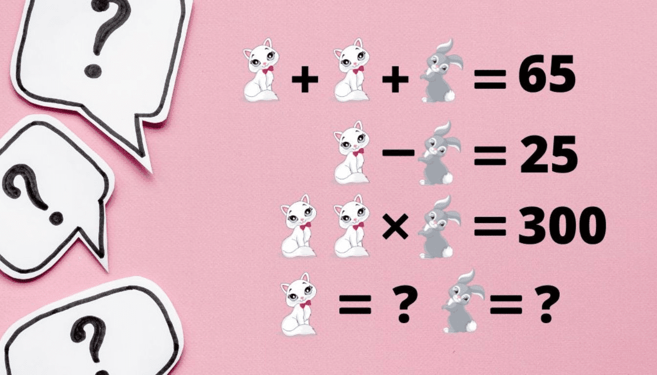 Can you solve the riddle: how much is the cat and the rabbit worth in 40 seconds?