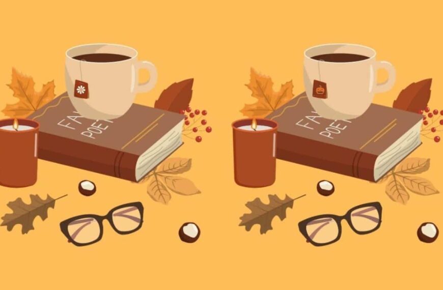 Observation Challenge: Can you find the 3 differences between the autumn objects in just 15 seconds? Only true geniuses can do it!