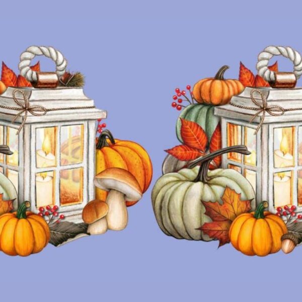 Observation Challenge: Can you find the 4 differences between the autumn lanterns in just 15 seconds? Tick ​​tock – the countdown has begun!