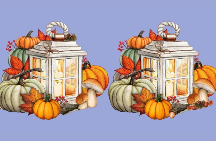 Observation Challenge: Can you find the 4 differences between the autumn lanterns in just 15 seconds? Tick ​​tock – the countdown has begun!