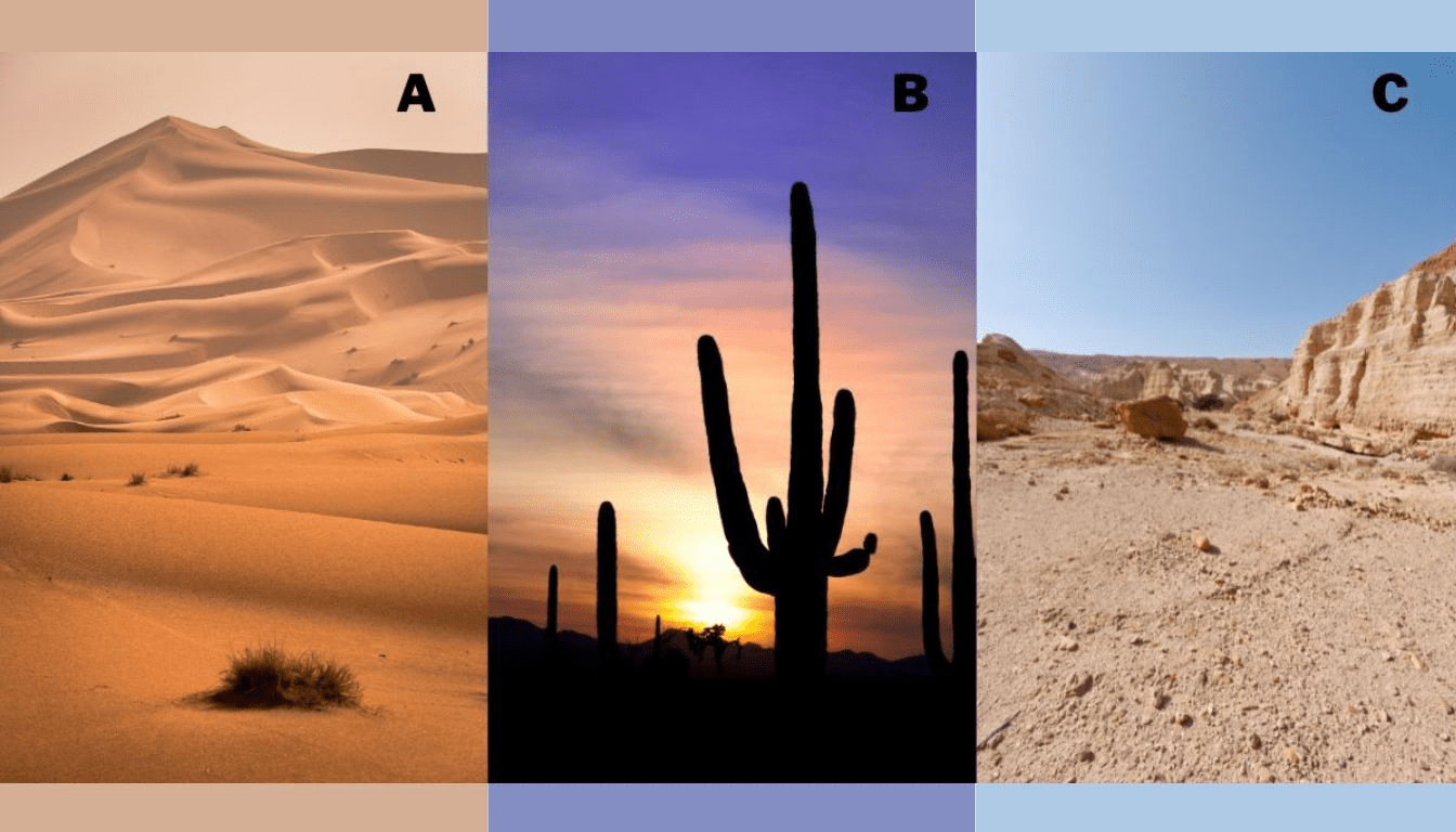 Personality Test: Choose your favorite desert and reveal your true conflict management style!