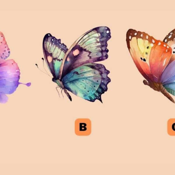 Personality Test: Which Butterfly Do You Choose? Reveal whether you are a skeptical or confident soul!