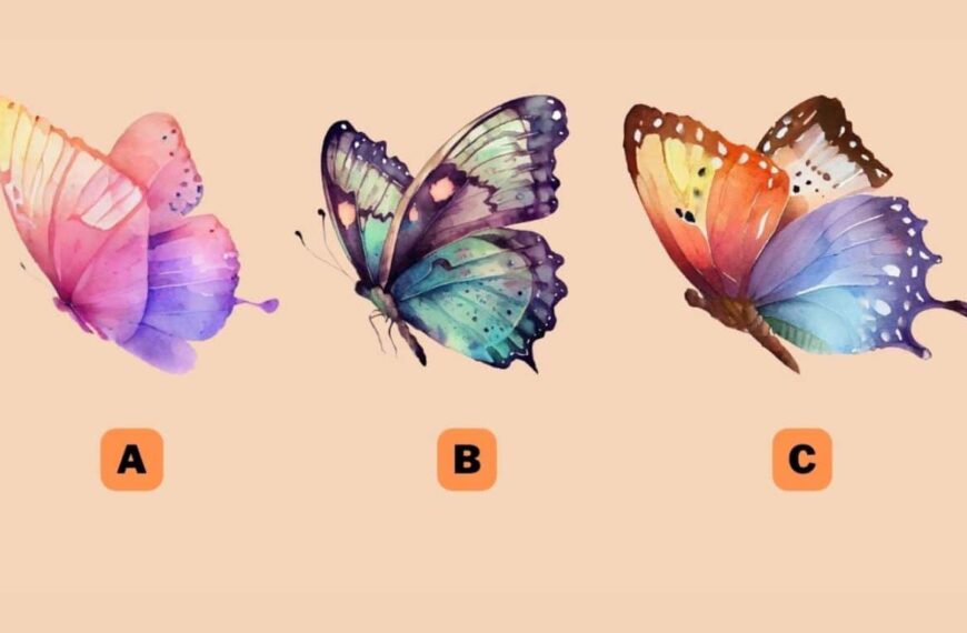 Personality Test: Which Butterfly Do You Choose? Reveal whether you are a skeptical or confident soul!