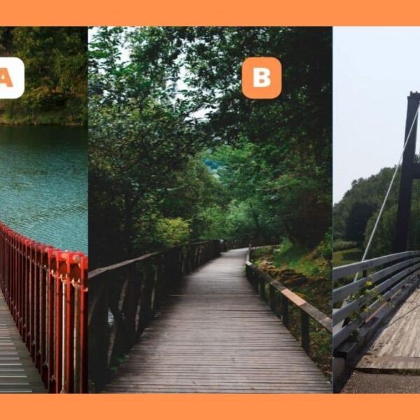 Personality test: are you ready to find out how much independence matters to you? Choose which bridge you want to cross!